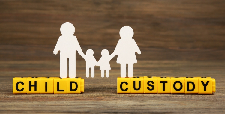 ADVOCATE FOR CHILD CUSTODY